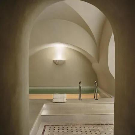 Chateau Voltaire Hotell 5*